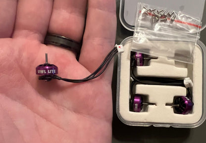 UWL Motor in hand